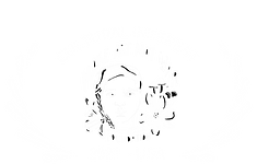 CULTURALINTEREST-MakeArtNotWarFoundation