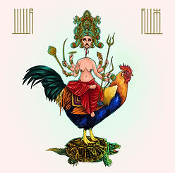 juur flux cover for mnnw use - Corey Tom